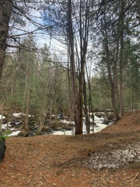 Chalet Rawdon Route 125